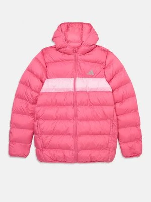 Obrázek produktu Zimní bunda adidas performance