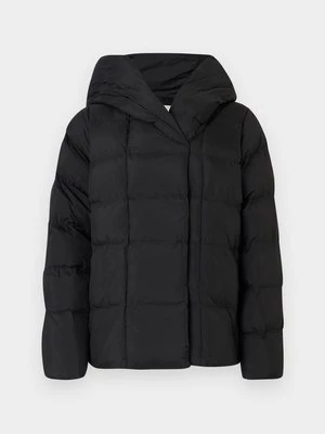 Obrázek produktu Zimní bunda Calvin Klein