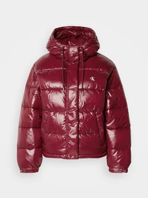 Obrázek produktu Zimní bunda Calvin Klein Jeans bordeaux