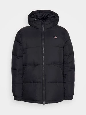 Obrázek produktu Zimní bunda Dickies