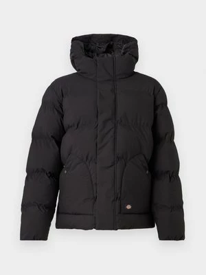Obrázek produktu Zimní bunda Dickies