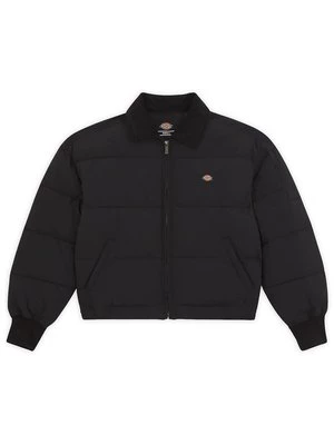 Obrázek produktu Zimní bunda Dickies