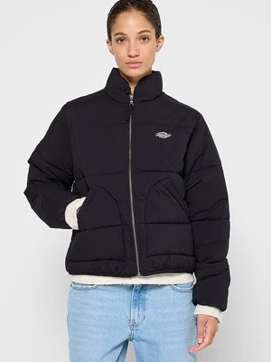 Obrázek produktu Zimní bunda Dickies