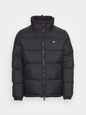Obrázek produktu Zimní bunda Dickies
