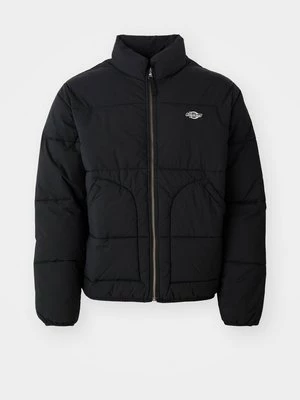 Obrázek produktu Zimní bunda Dickies