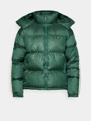 Obrázek produktu Zimní bunda Ellesse