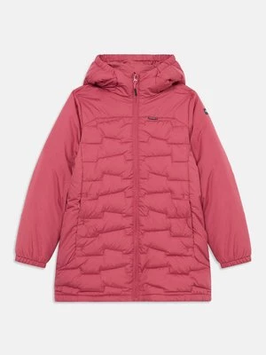 Obrázek produktu Zimní bunda icepeak
