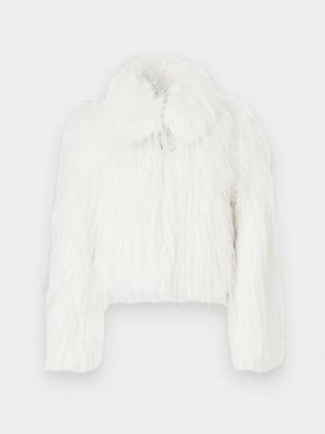 Obrázek produktu Zimní bunda pinko