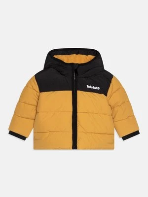 Obrázek produktu Zimní bunda Timberland