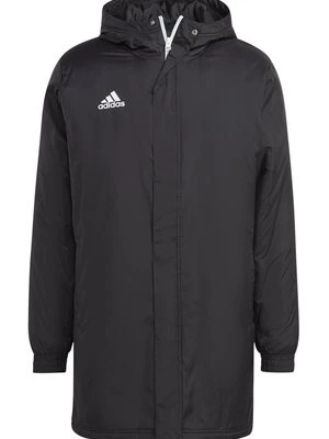 Obrázek produktu Zimní kabát adidas performance