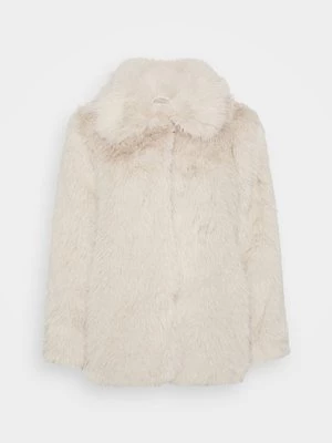 Obrázek produktu Zimní kabát Vero Moda Petite