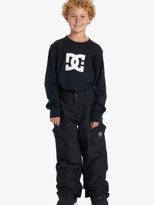 Obrázek produktu Zimní kalhoty DC Shoes