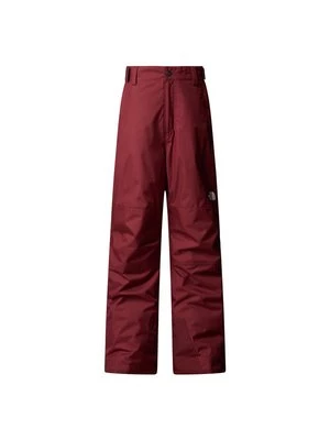 Obrázek produktu Zimní kalhoty The North Face