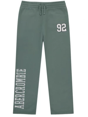 Obrázek produktu Abercrombie & Fitch Kalhoty světle šedá / zelená