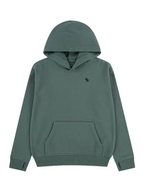Obrázek produktu Abercrombie & Fitch Mikina 'ESSENTIALS FLEECE' nefritová