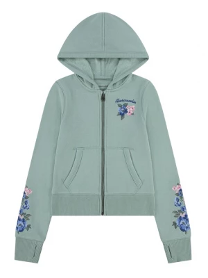 Obrázek produktu Abercrombie & Fitch Mikina námořnická modř / světle zelená / tmavě zelená / růžová