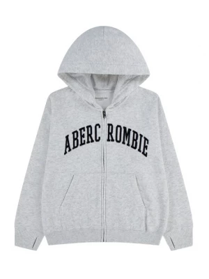 Obrázek produktu Abercrombie & Fitch Mikina šedý melír / černá