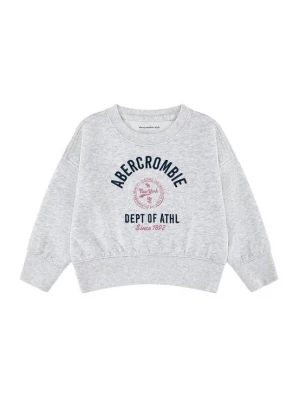 Obrázek produktu Abercrombie & Fitch Mikina světle šedá / melounová / černá