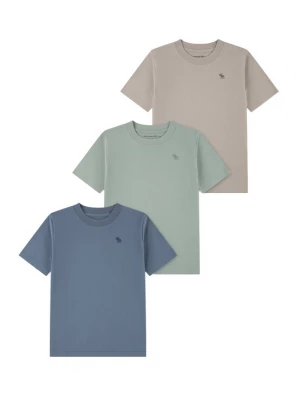 Obrázek produktu Abercrombie & Fitch Tričko safírová / režná / pastelově zelená