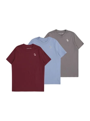 Obrázek produktu Abercrombie & Fitch Tričko světlemodrá / tmavě šedá / červená třešeň / bílá