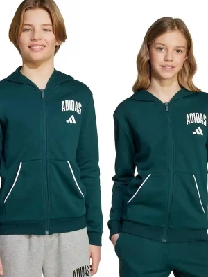 Obrázek produktu adidas Dětská mikina zelená