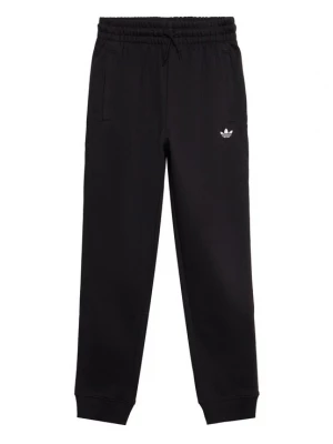 Obrázek produktu ADIDAS ORIGINALS Kalhoty černá