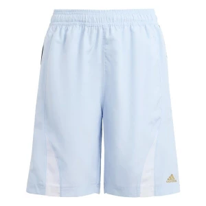 Obrázek produktu ADIDAS ORIGINALS Kalhoty 'Teamgeist' světlemodrá / zlatá / bílá