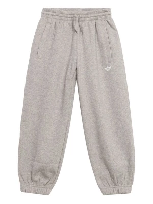 Obrázek produktu ADIDAS ORIGINALS Kalhoty 'Trefoil' světle šedá