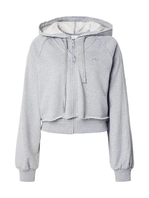 Obrázek produktu ADIDAS ORIGINALS Mikina šedý melír