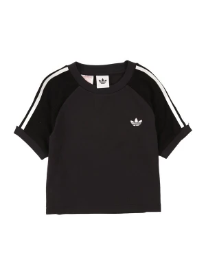 Obrázek produktu ADIDAS ORIGINALS Tričko 'SLIM KNITTED 3 STRIPES' zlatá / černá / bílá