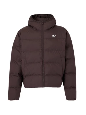 Obrázek produktu ADIDAS ORIGINALS Zimní bunda 'HOODED REGEN' čokoládová