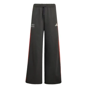 Obrázek produktu ADIDAS PERFORMANCE Sportovní kalhoty 'Audi Formula One Team DNA' tmavě šedá / humrová / bílá