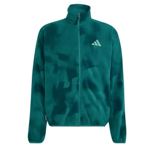 Obrázek produktu ADIDAS TERREX Funkční fleecová mikina jedle / tmavě zelená