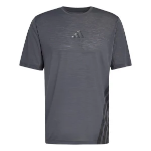 Obrázek produktu ADIDAS TERREX Funkční tričko 'Xperior' tmavě šedá / černá