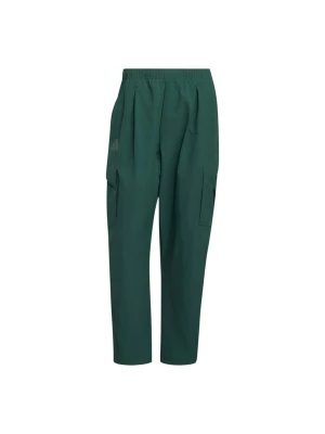 Obrázek produktu ADIDAS TERREX Outdoorové kalhoty tmavě zelená