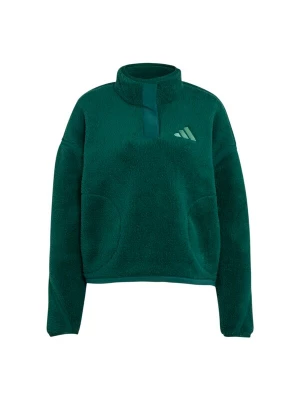 Obrázek produktu ADIDAS TERREX Sportovní svetr 'ESS' smaragdová