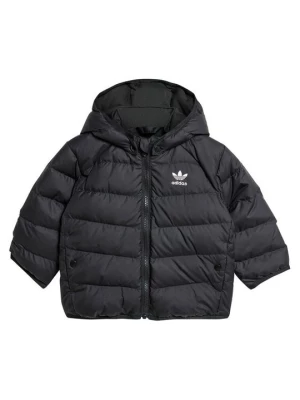 Obrázek produktu adidas Vatovaná bunda adicolor IX7493 Černá Regular Fit