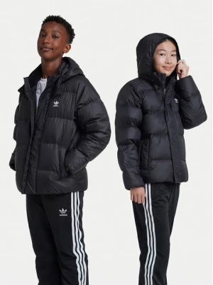 Obrázek produktu adidas Vatovaná bunda adicolor IY7498 Černá Regular Fit