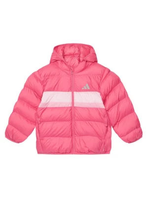 Obrázek produktu adidas Zimní bunda JW2454 Růžová Regular Fit
