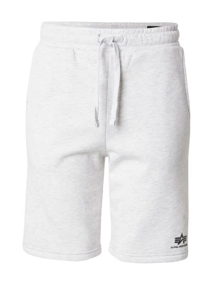 Obrázek produktu ALPHA INDUSTRIES Kalhoty šedý melír / černá