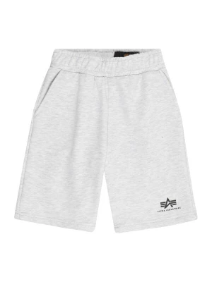 Obrázek produktu ALPHA INDUSTRIES Kalhoty šedý melír / černá