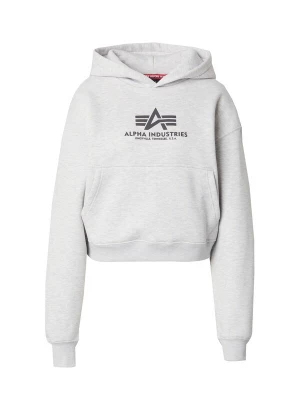 Obrázek produktu ALPHA INDUSTRIES Mikina antracitová / světle šedá