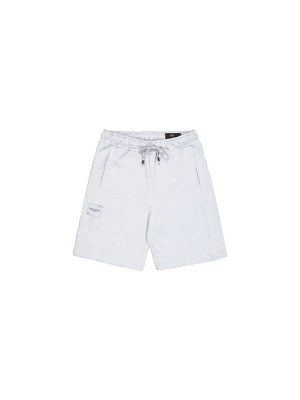 Obrázek produktu ALPHA INDUSTRIES Sportovní kalhoty šedá