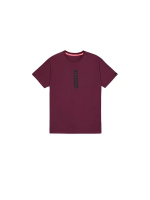 Obrázek produktu ALPHA INDUSTRIES Tričko 'Alpha Puff' červená třešeň / černá