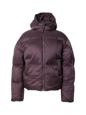 Obrázek produktu ALPHA INDUSTRIES Zimní bunda lilek