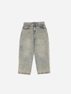 Obrázek produktu Baggy džíny Wasted Paris