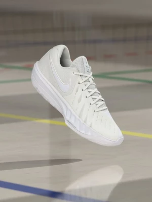 Obrázek produktu Basketbalové boty Nike