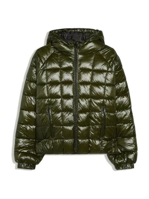 Obrázek produktu Bershka Přechodná bunda tmavě zelená