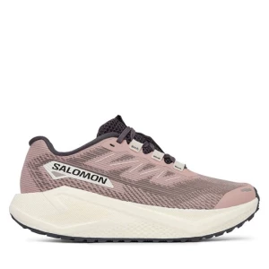 Obrázek produktu Běžecké boty Salomon Aero Blaze 3 Grvl W L49218000 Béžová