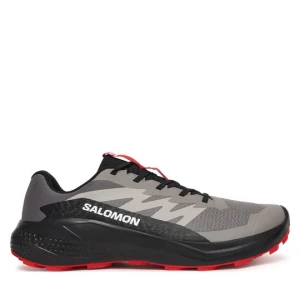 Obrázek produktu Běžecké boty Salomon Alphaglide L48000800 Šedá